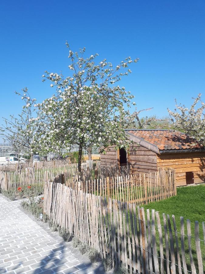 De Bonderbei Bed & Breakfast Wellen Exterior foto